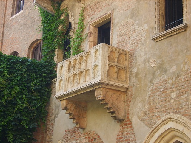 Image of a Juliette balcony with vines growing up the wall.
